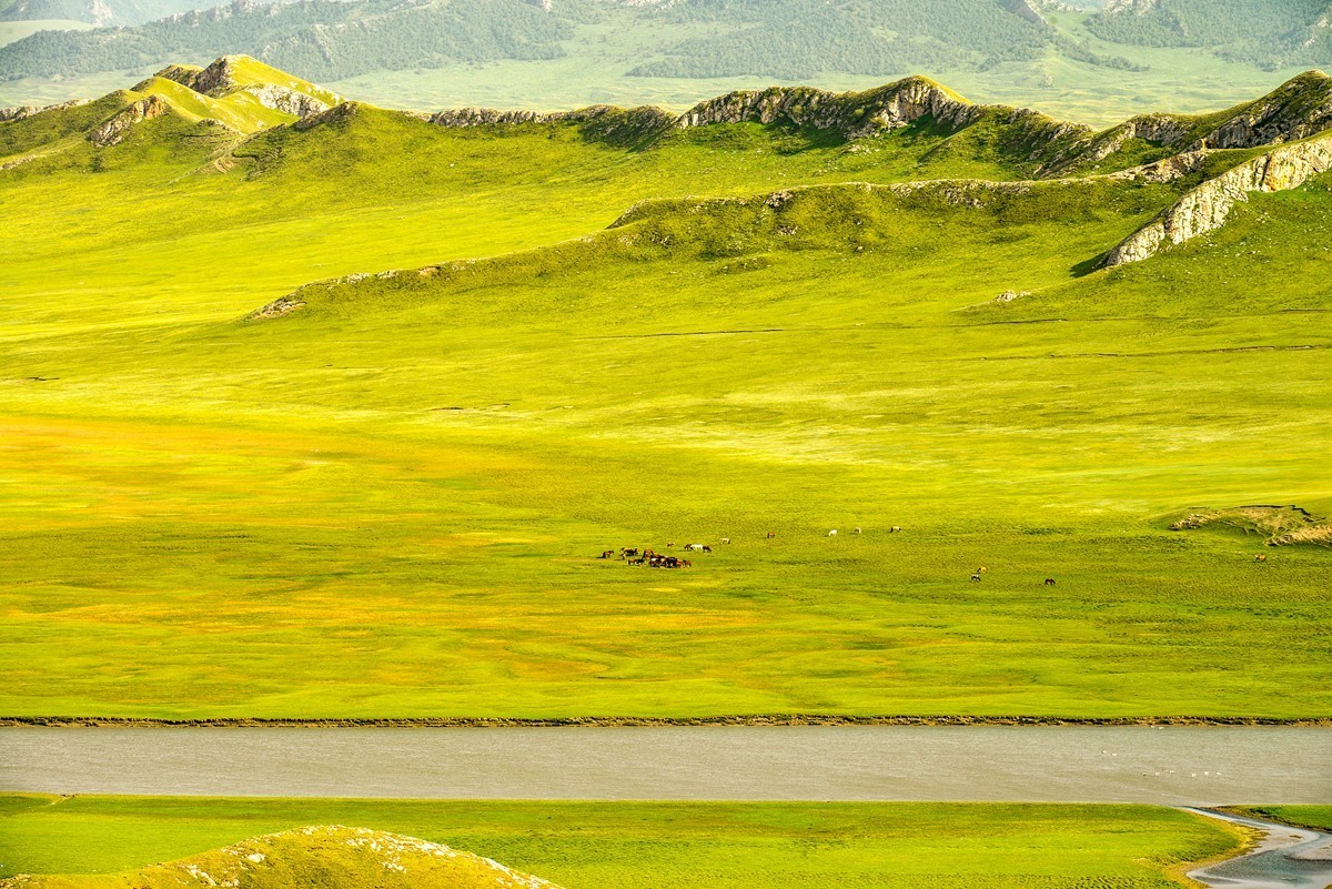 巴音布鲁克（完）