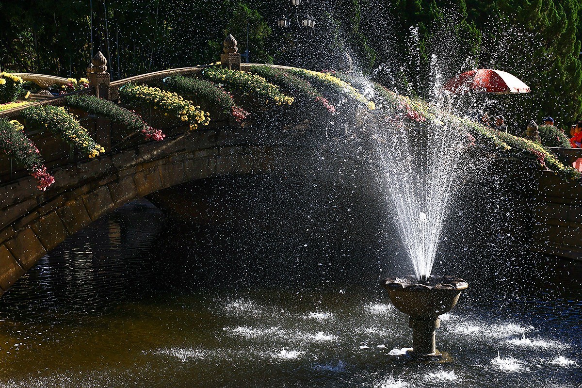 浩气存黄花，同心筑伟梦！