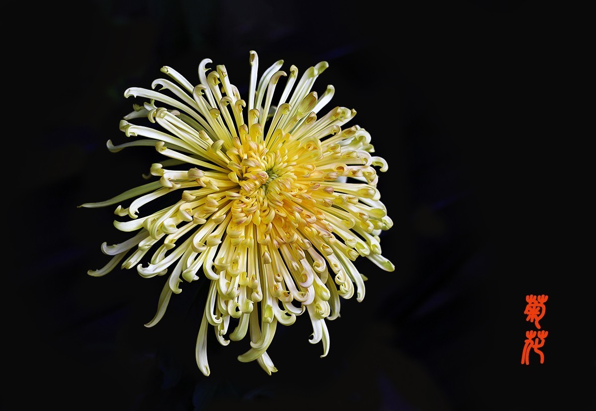 浩气存黄花，同心筑伟梦！