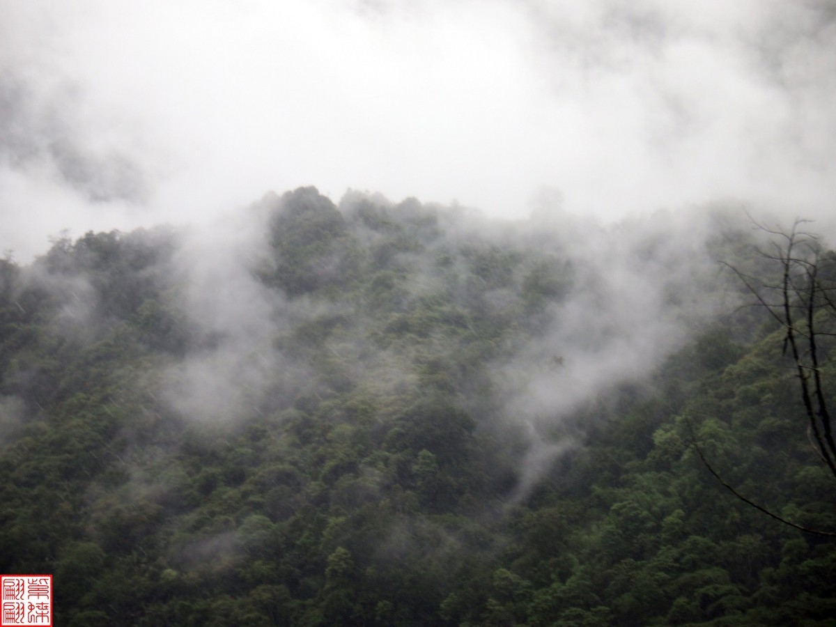 2024.6.27墨脱路拍（20）