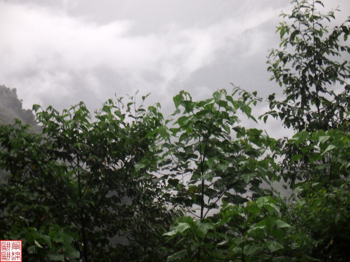 2024.6.27墨脱路拍（20）