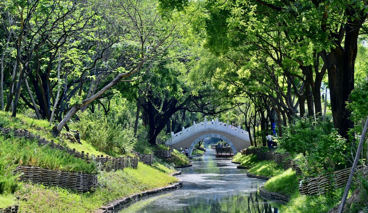 玉东郊野公园---位于颐和园西侧-中关村在线摄影论坛