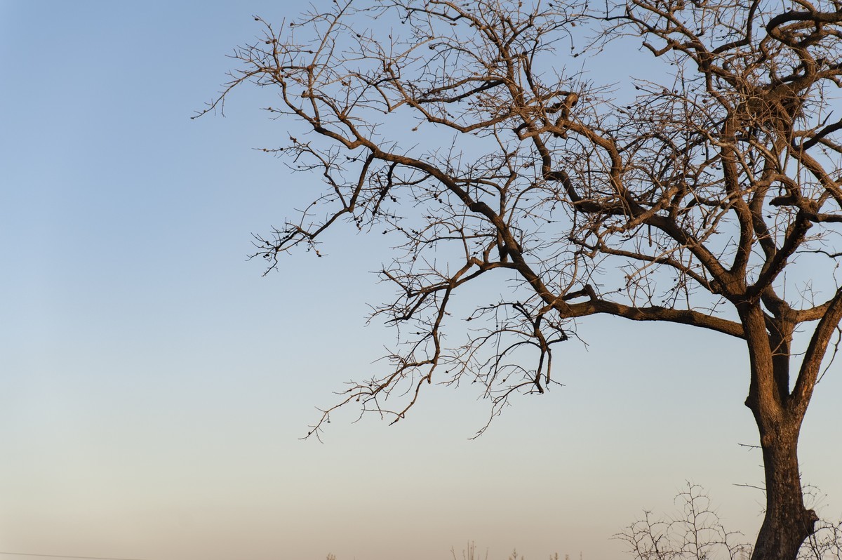 2023年春节城市到农村、西北高原到华北平原