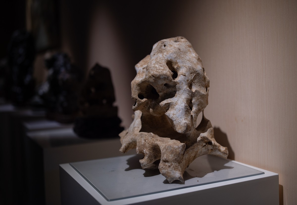 【雅赏续集】石语 造景 空间