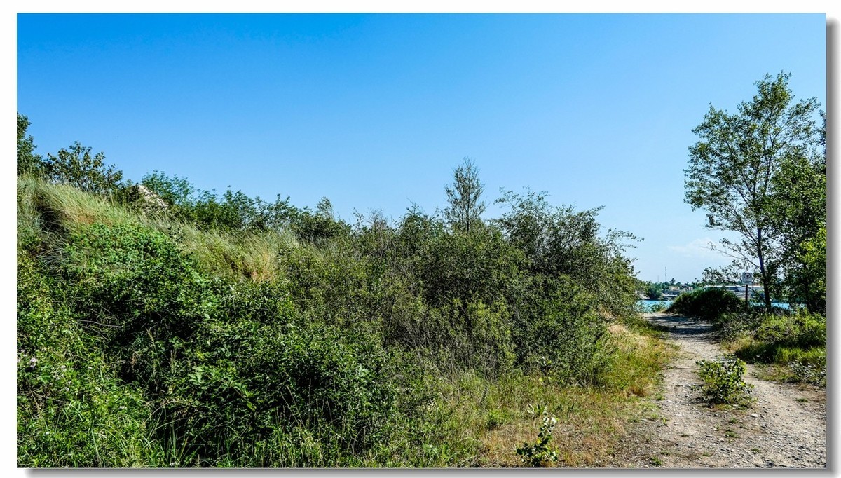 野湖夏色--人工湖（南德）