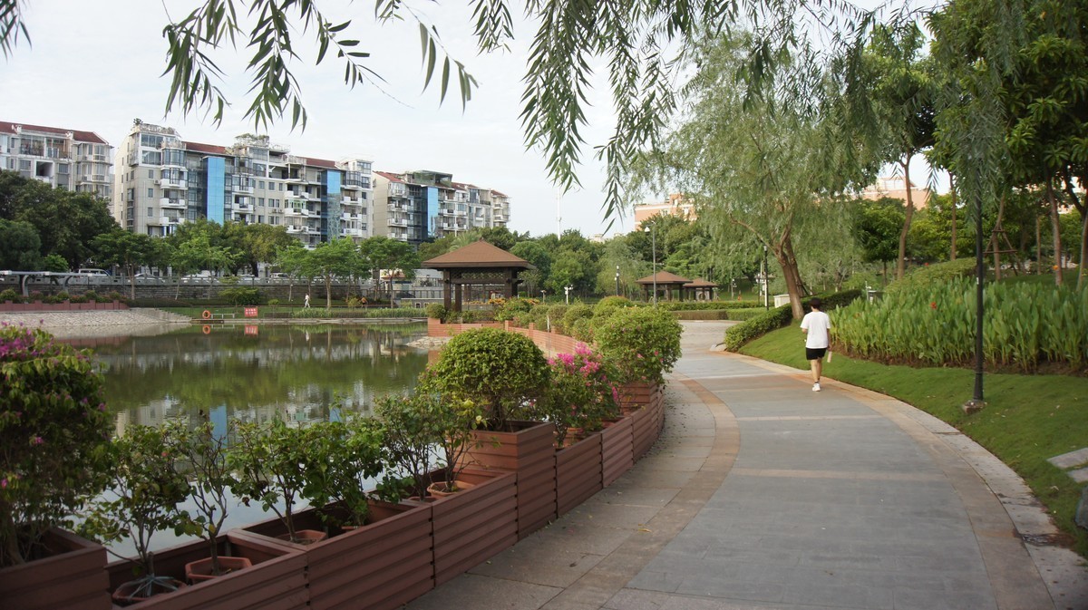 美丽的厦门郊外早晨风光摄影--38