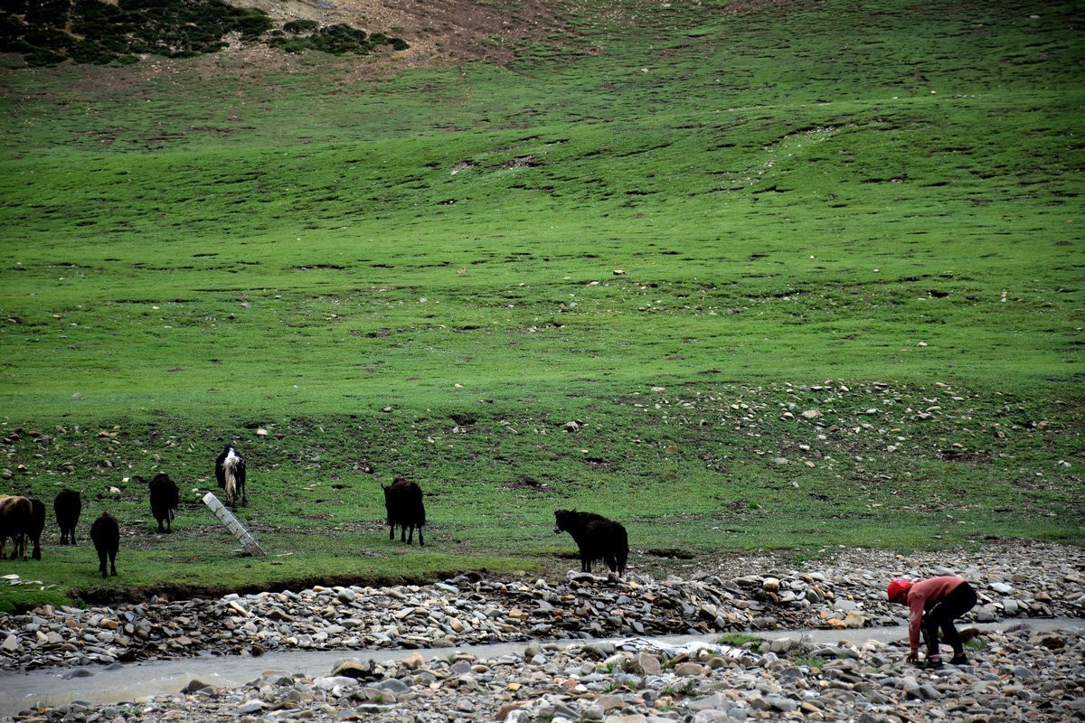 2023夏 黔赣鄂渝川（134）甘孜牦牛肉数色达
