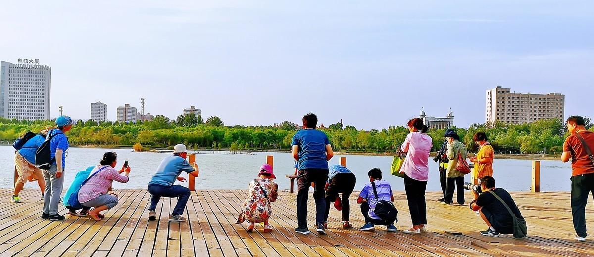 龙源湖抓拍（手机版）