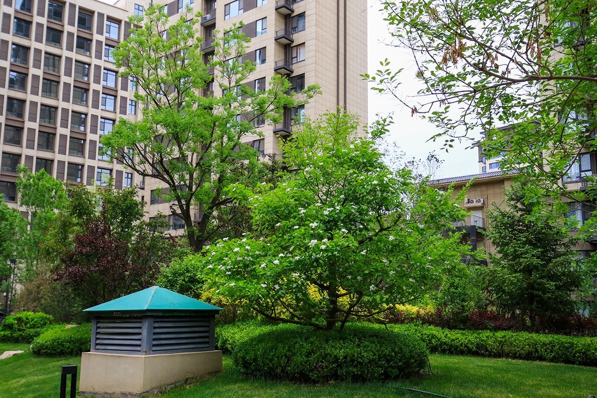 7D2的色彩看着突然这么舒服！