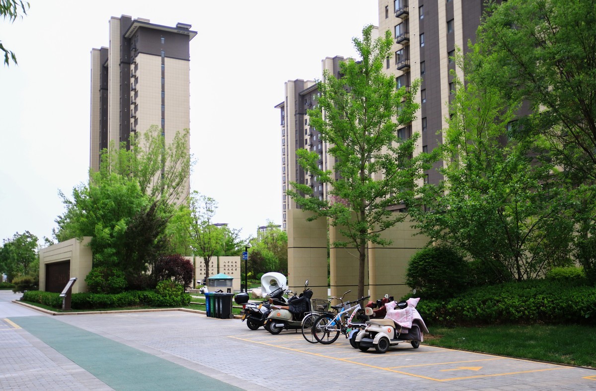 7D2的色彩看着突然这么舒服！