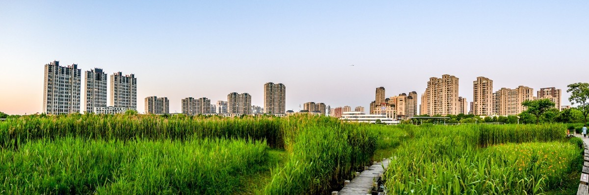 小区随拍（上海南翔）