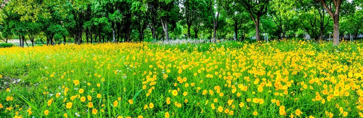 小区随拍（上海南翔）