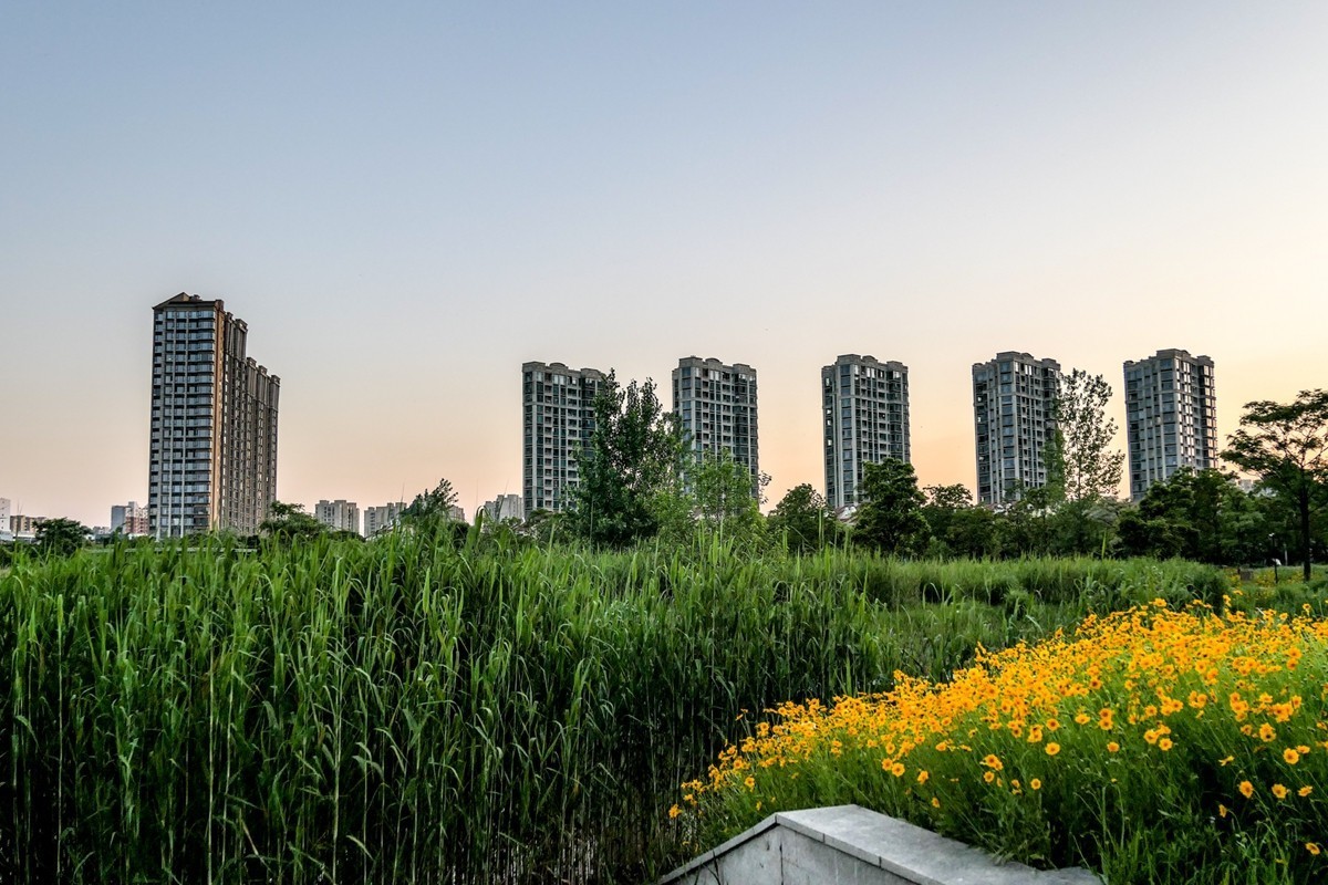 小区随拍（上海南翔）