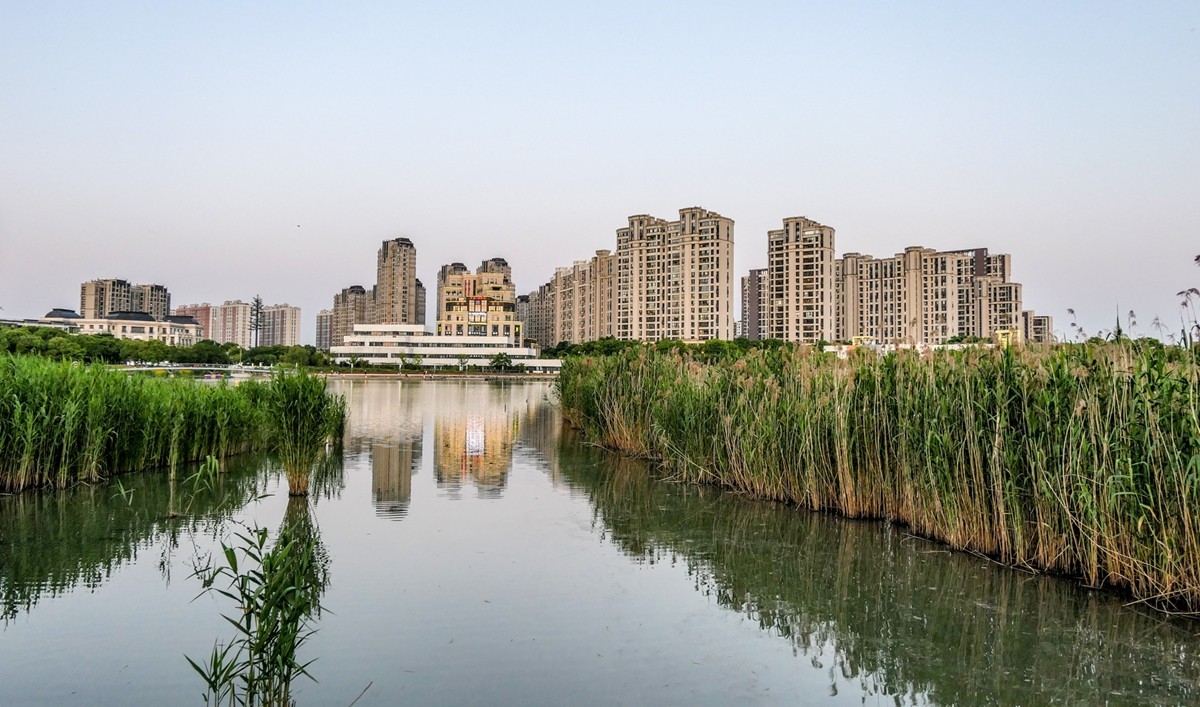 小区随拍（上海南翔）