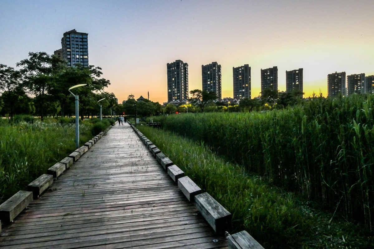 小区随拍（上海南翔）