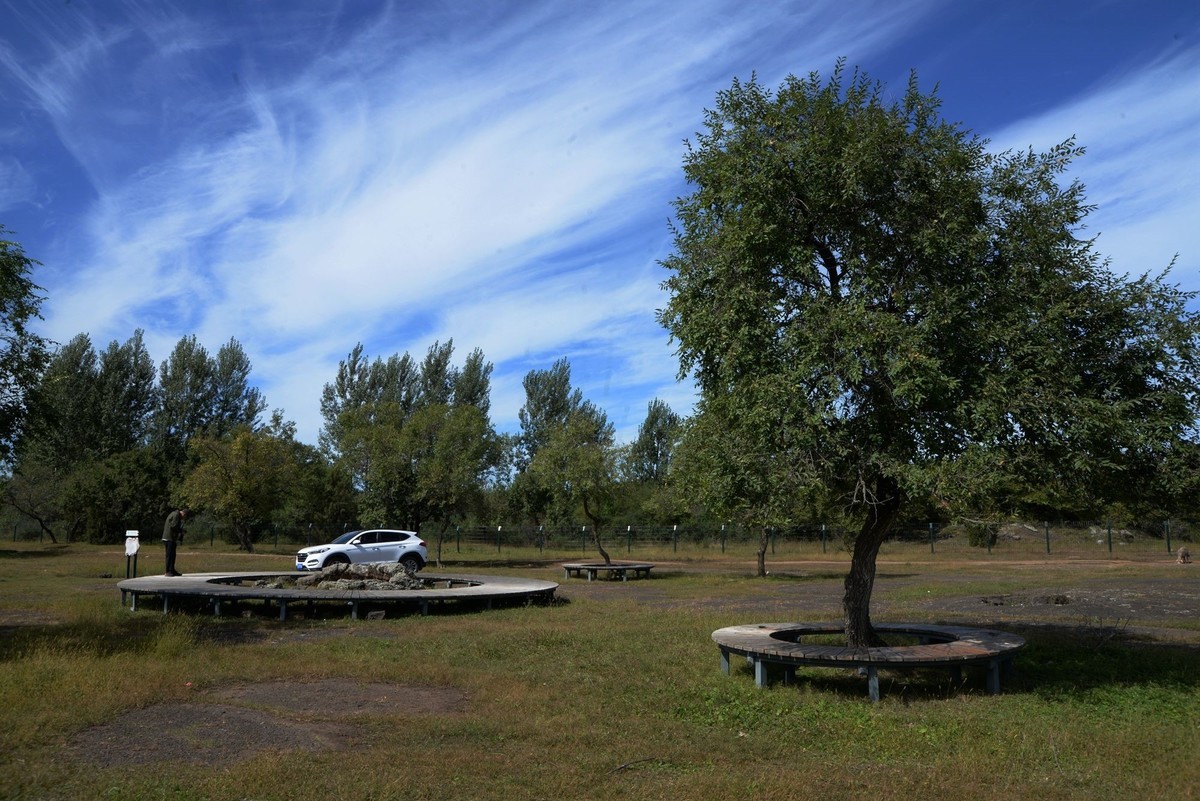 镜泊——喷气碟湿地（4）