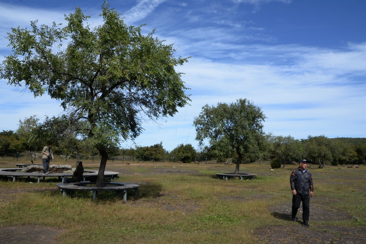 镜泊——喷气碟湿地（4）