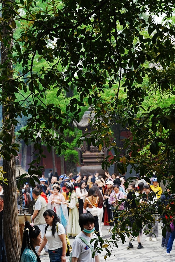 河南洛阳--白马寺【3】