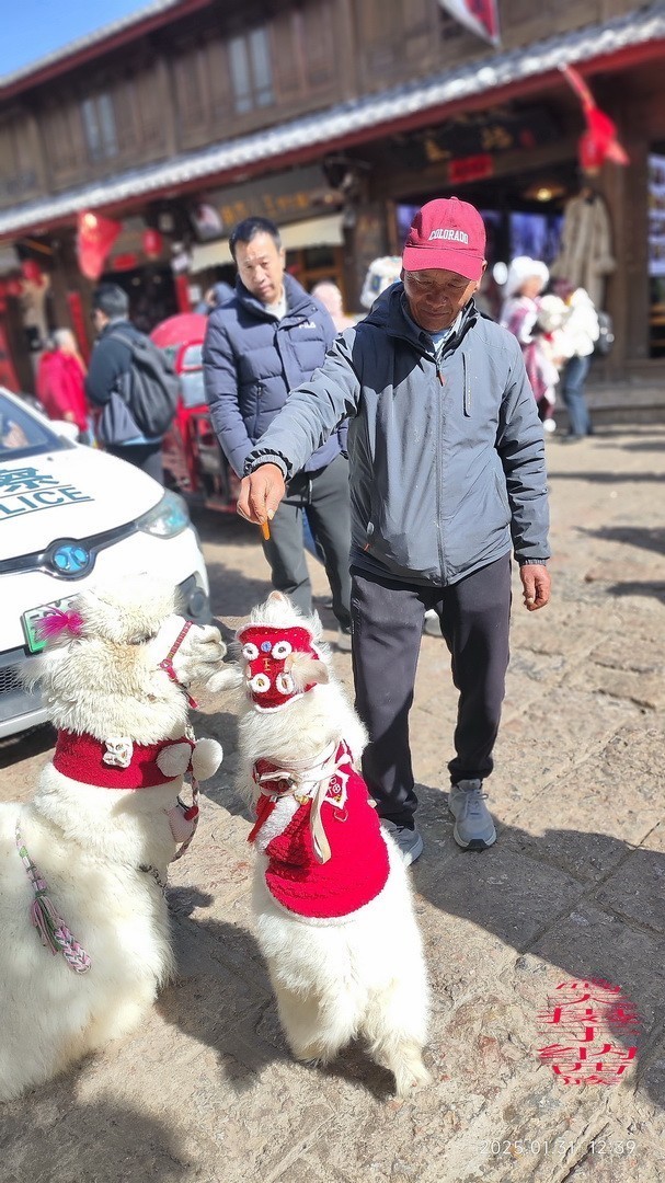 云南玉龙雪山|白沙镇     周鸣天