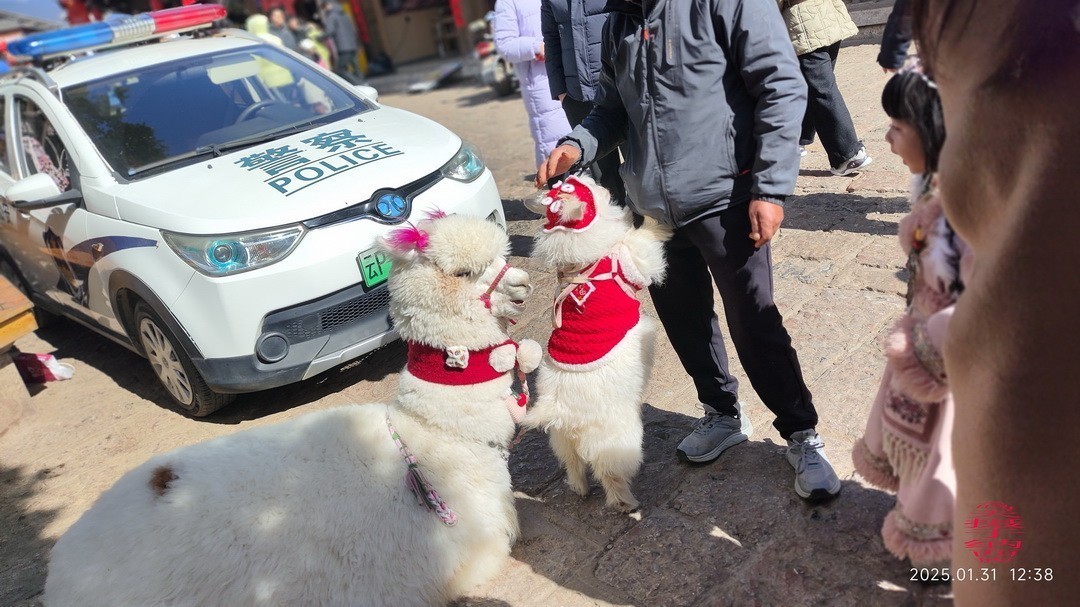 云南玉龙雪山|白沙镇     周鸣天