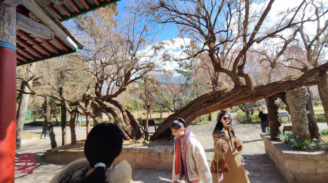 云南玉龙雪山|白沙镇     周鸣天