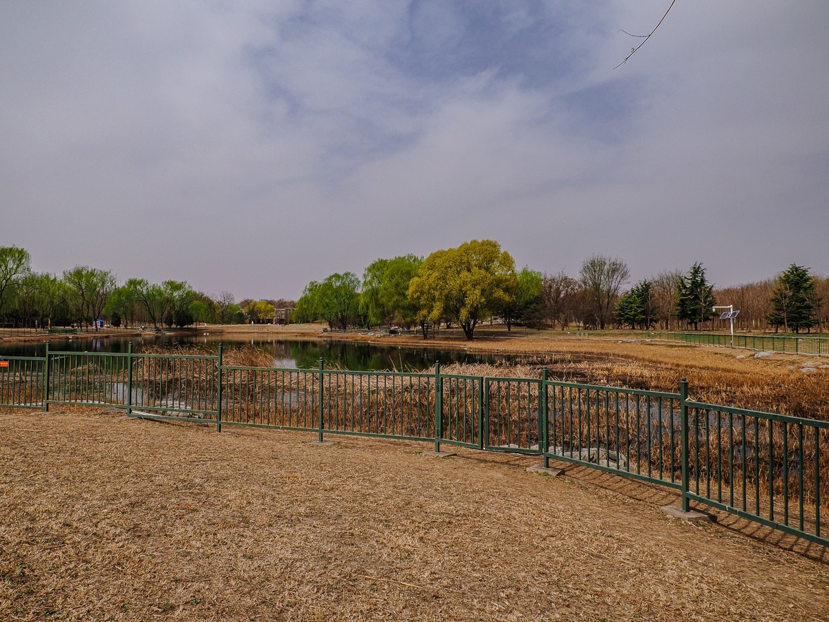 春和景明鸭先知