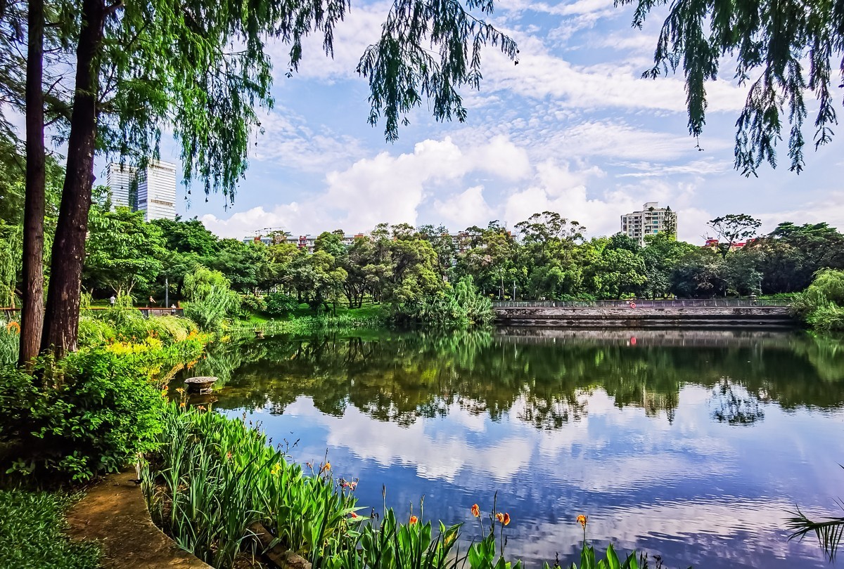 深圳四海公园掠影