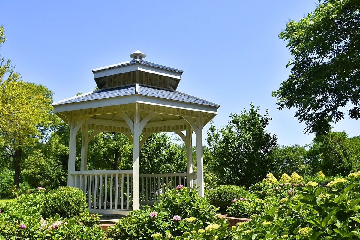 又遇曾蹭拍过的佳人