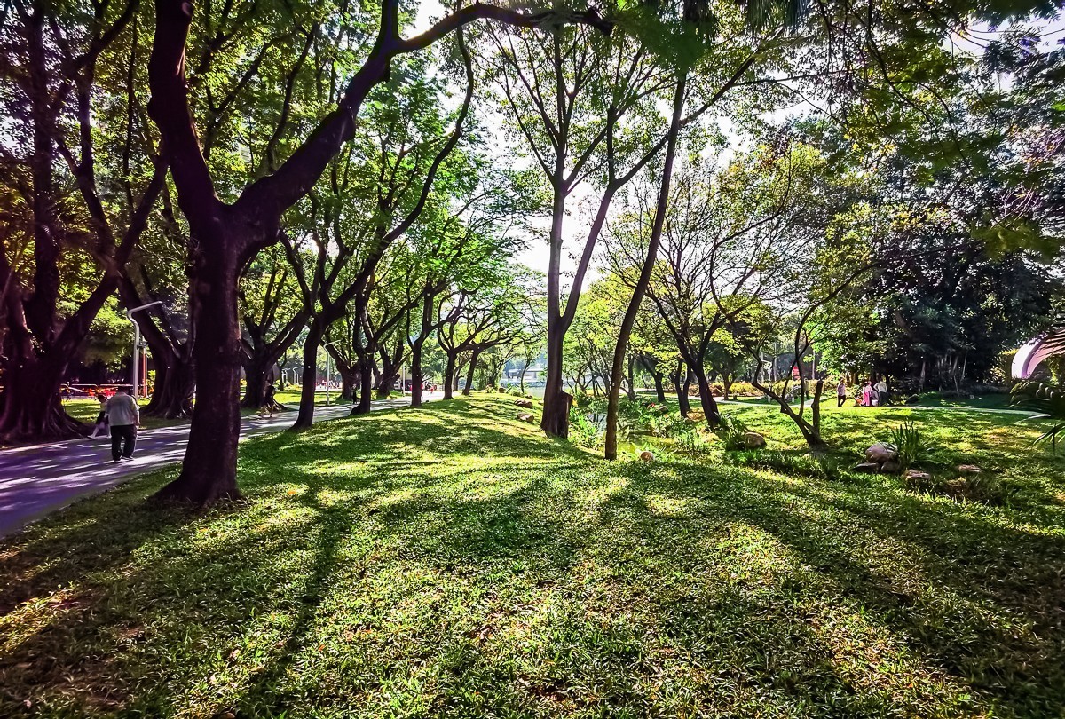 深圳人民公园掠影