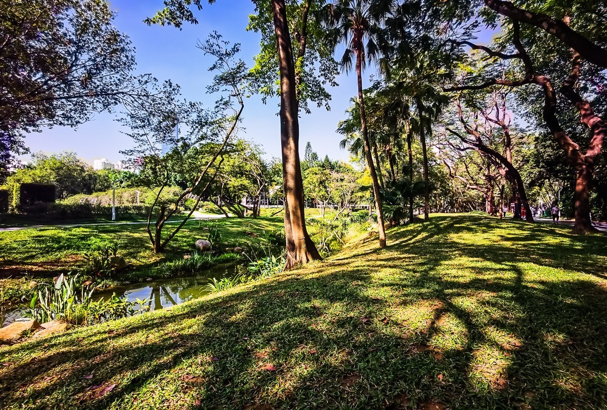 深圳人民公园掠影