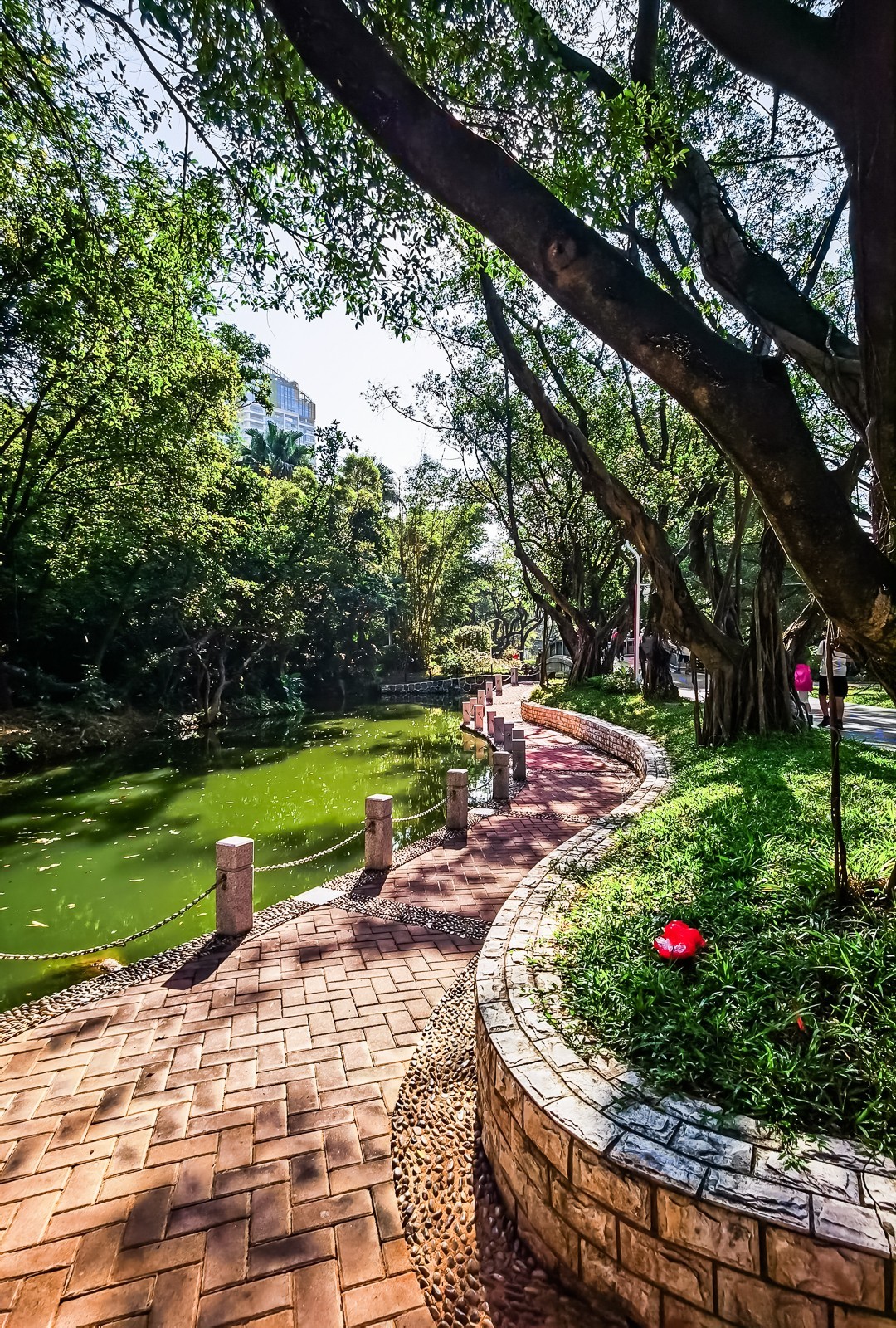 深圳人民公园掠影