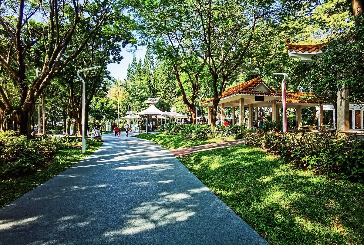 深圳人民公园掠影