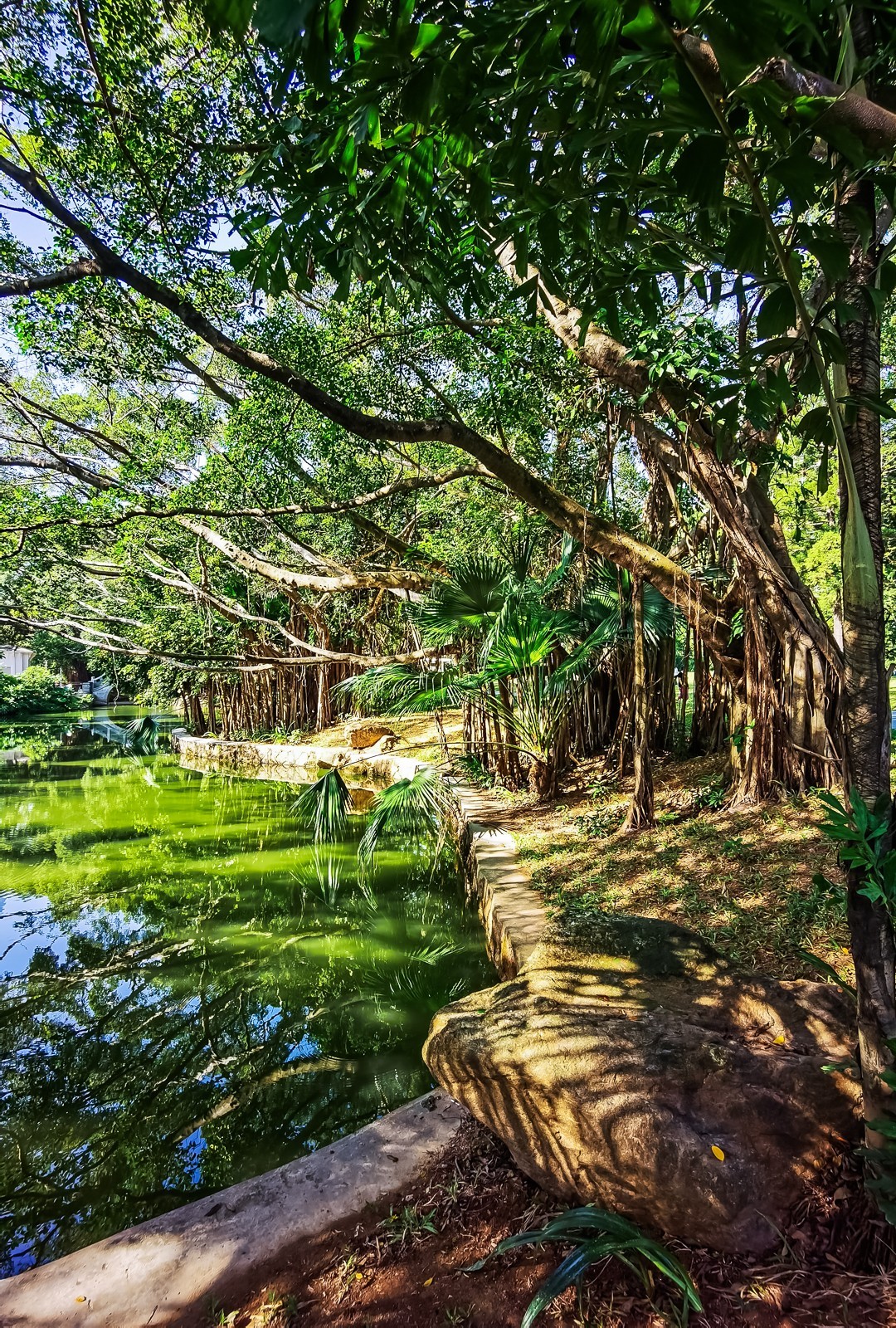 深圳人民公园掠影