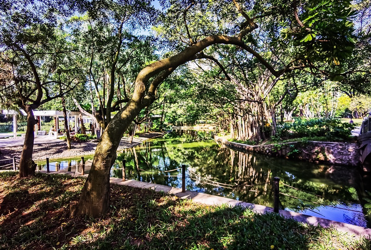 深圳人民公园掠影