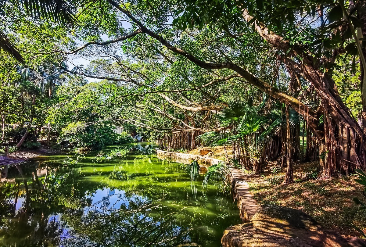 深圳人民公园掠影