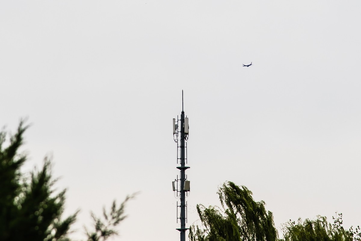 【镜头里】第1157号：阴雨天游拍北京植物园（六）