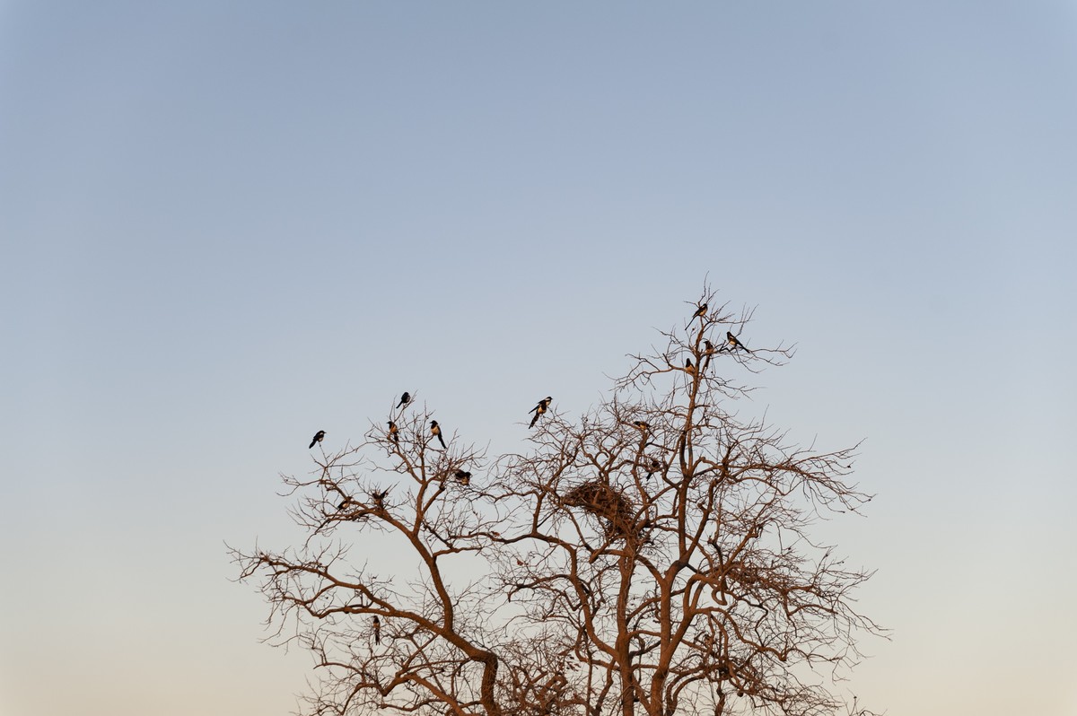 2023年春节城市到农村、西北高原到华北平原