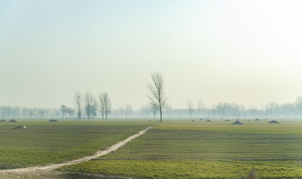 2023年春节城市到农村、西北高原到华北平原