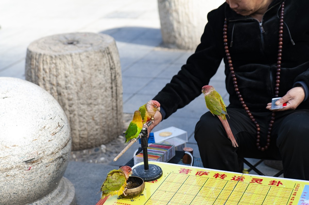 2023年春节城市到农村、西北高原到华北平原