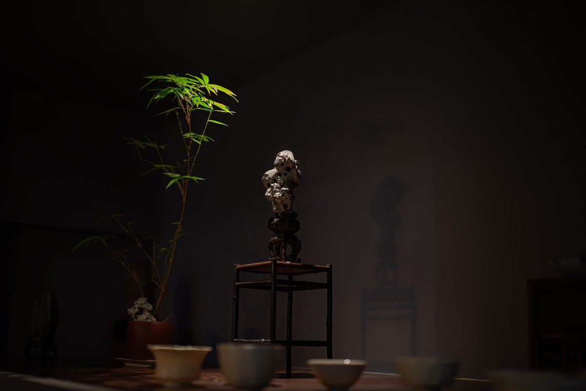 【雅赏续集】石语 造景 空间