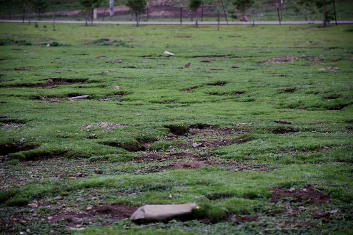 2023夏 黔赣鄂渝川（134）甘孜牦牛肉数色达