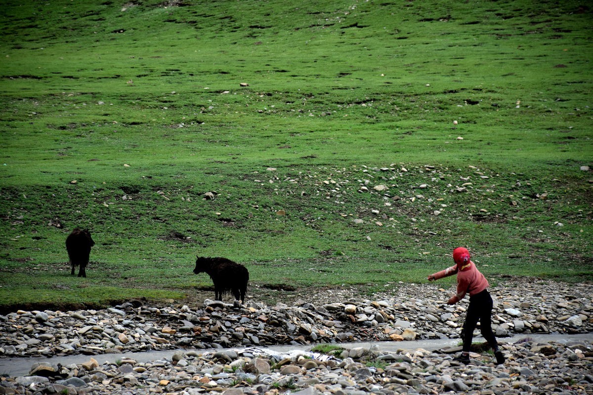2023夏 黔赣鄂渝川（134）甘孜牦牛肉数色达