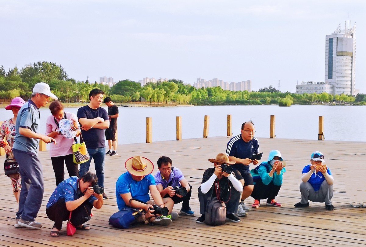 龙源湖抓拍（手机版）