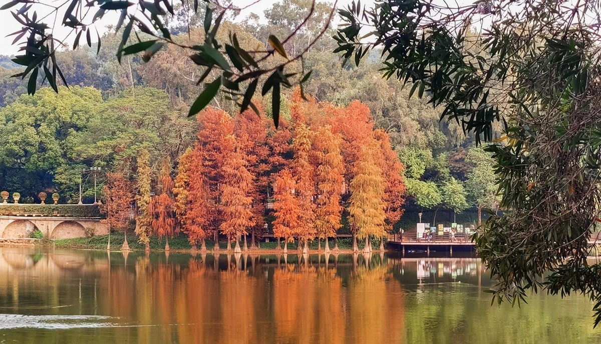 廣 州 鹿 湖 公 園