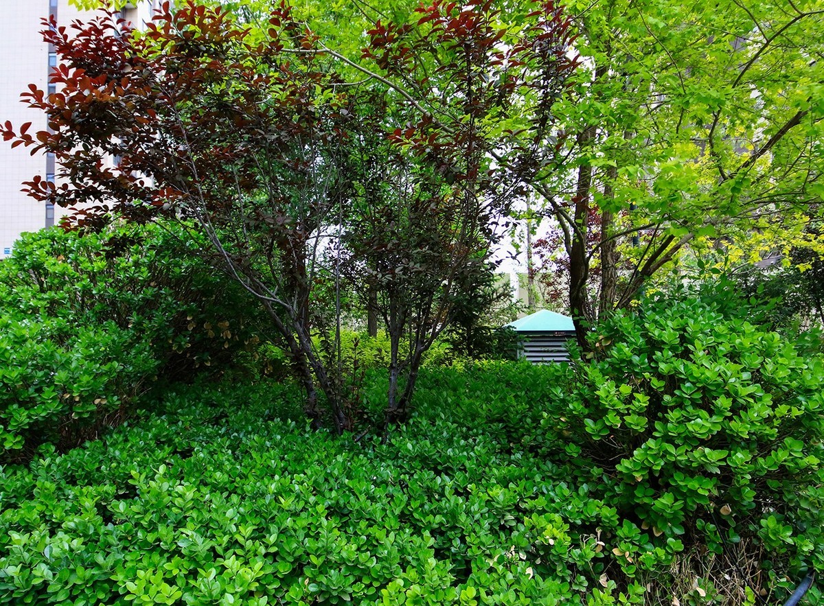 7D2的色彩看着突然这么舒服！