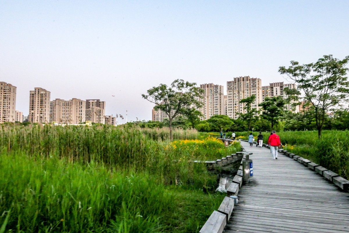 小区随拍（上海南翔）