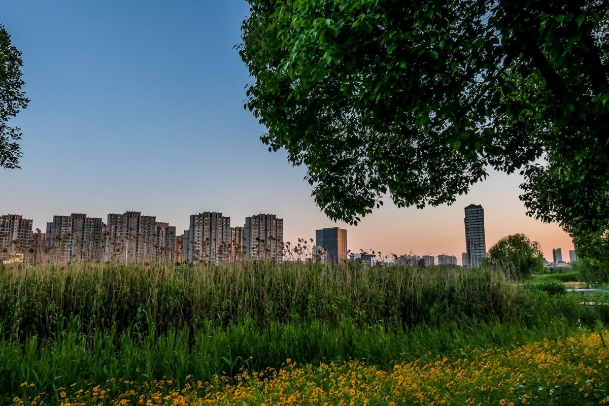 小区随拍（上海南翔）