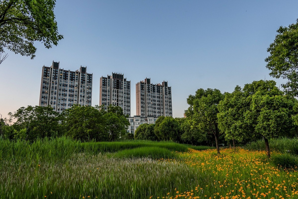 小区随拍（上海南翔）