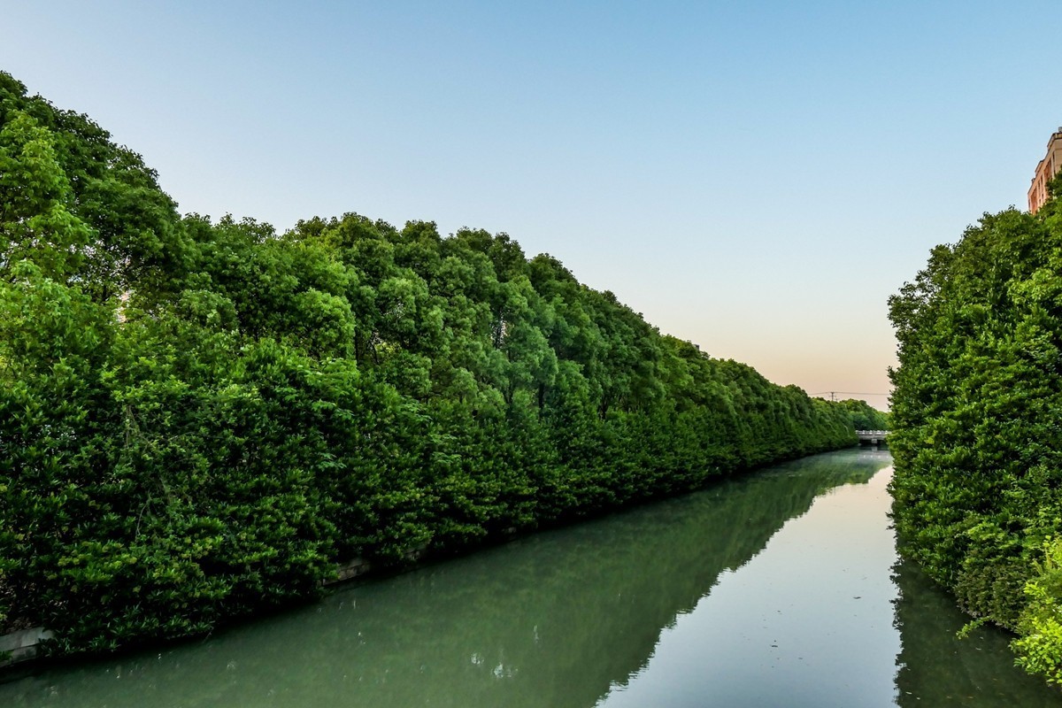 小区随拍（上海南翔）