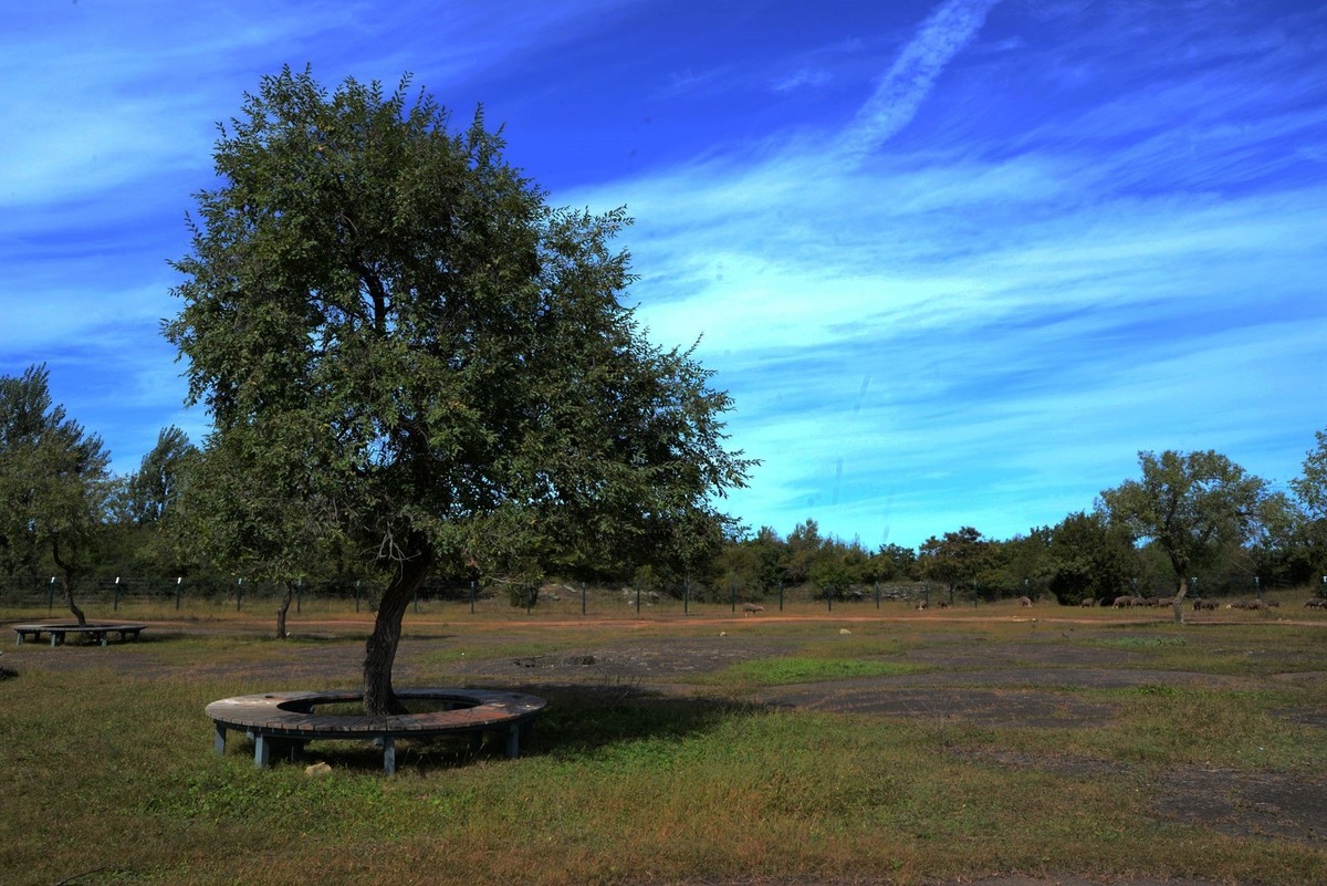 镜泊——喷气碟湿地（4）